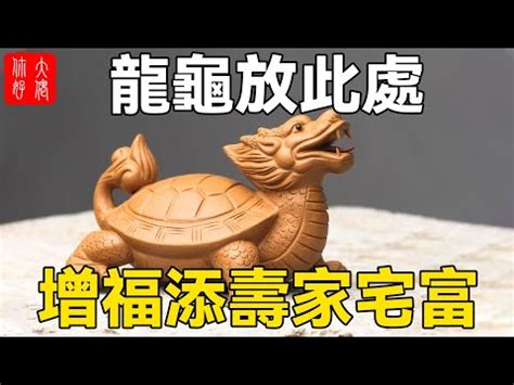 龍龜吃什麼|【龍龜吃什麼】揭秘龍龜飲食：讓你知道龍龜吃什麼的。